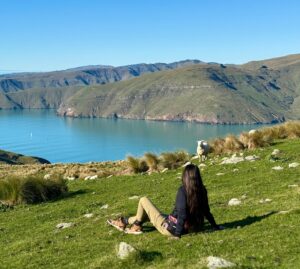 Read more about the article Christchurch, NZ: where silence speaks